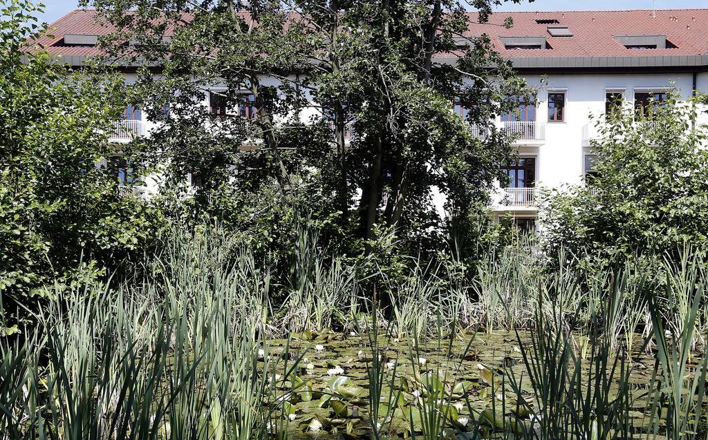 Tagungs- Und Bildungszentrum Steinbach/Taunus Steinbach im Taunus ภายนอก รูปภาพ